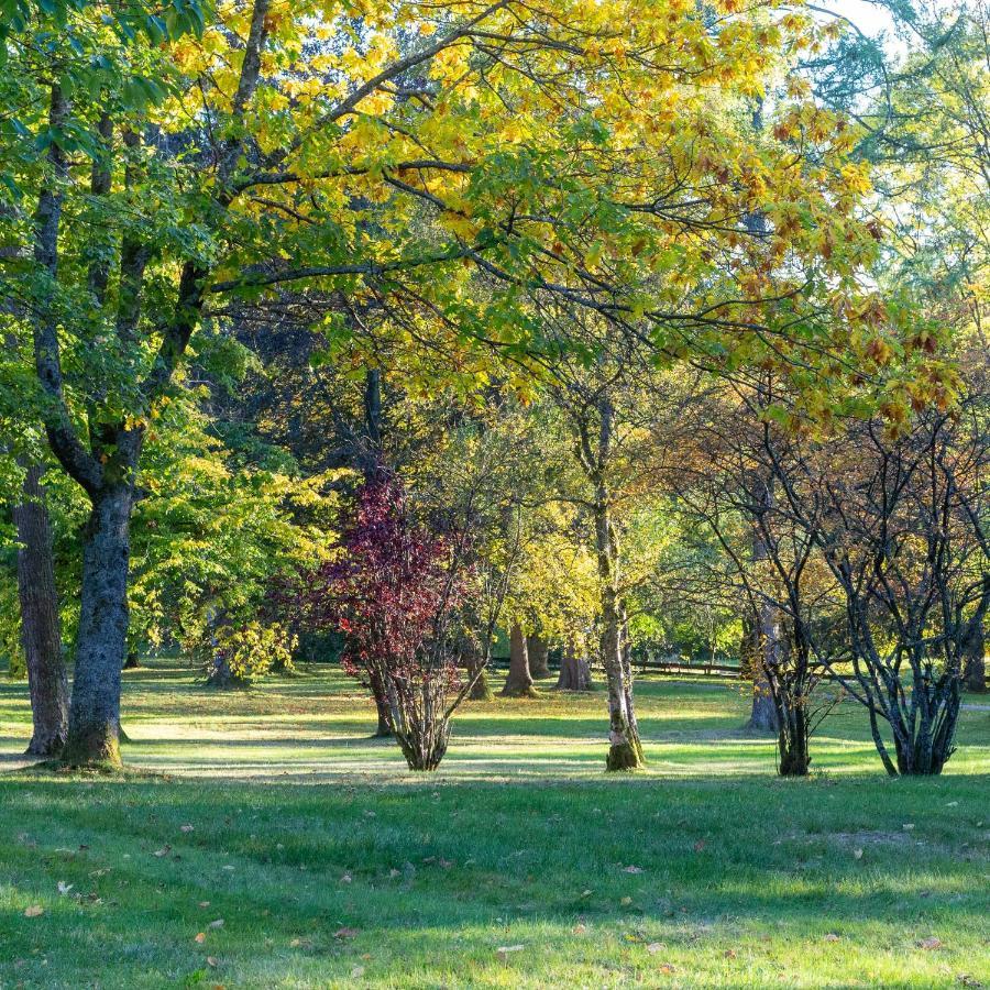 Ferienwohnung "Am Kurpark" 圣安德里斯伯格 外观 照片
