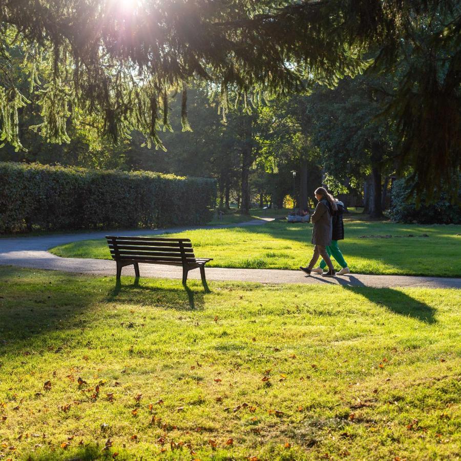 Ferienwohnung "Am Kurpark" 圣安德里斯伯格 外观 照片