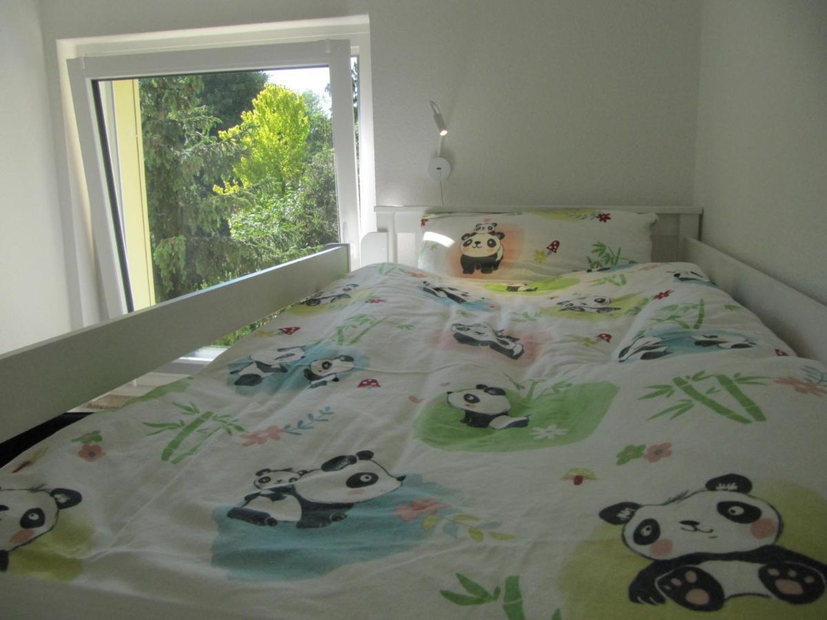 Ferienwohnung "Am Kurpark" 圣安德里斯伯格 外观 照片